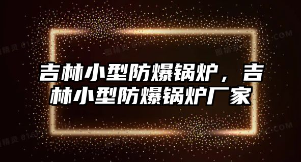 吉林小型防爆鍋爐，吉林小型防爆鍋爐廠家