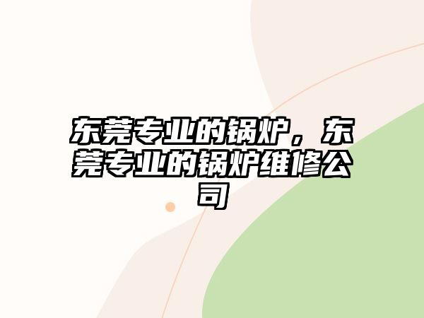 東莞專業的鍋爐，東莞專業的鍋爐維修公司