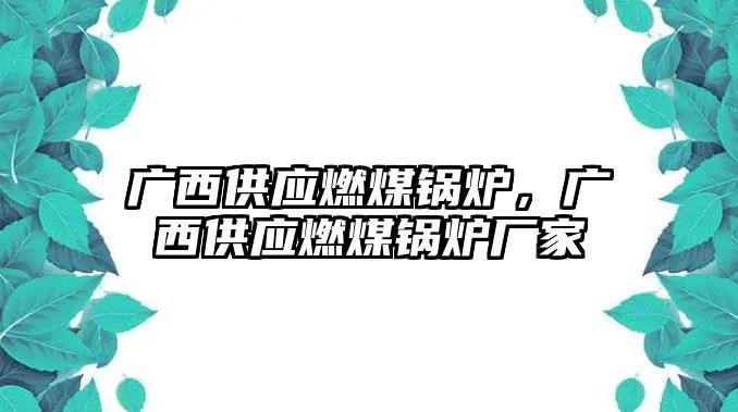 廣西供應燃煤鍋爐，廣西供應燃煤鍋爐廠家