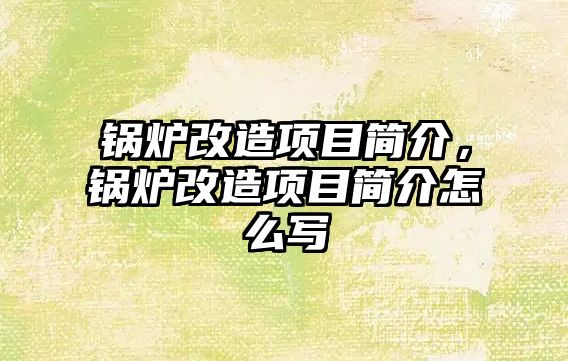 鍋爐改造項目簡介，鍋爐改造項目簡介怎么寫