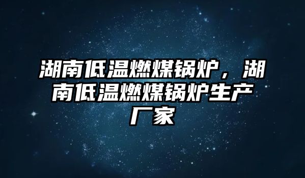 湖南低溫燃煤鍋爐，湖南低溫燃煤鍋爐生產(chǎn)廠家