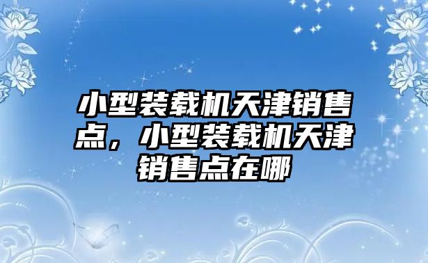 小型裝載機天津銷售點，小型裝載機天津銷售點在哪