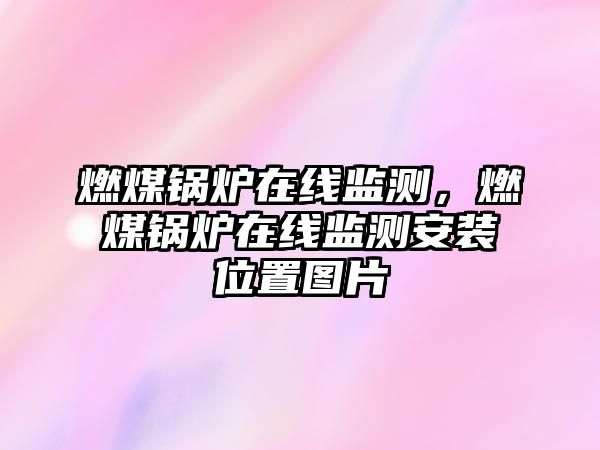 燃煤鍋爐在線監測，燃煤鍋爐在線監測安裝位置圖片