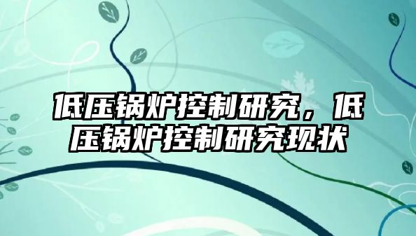 低壓鍋爐控制研究，低壓鍋爐控制研究現狀