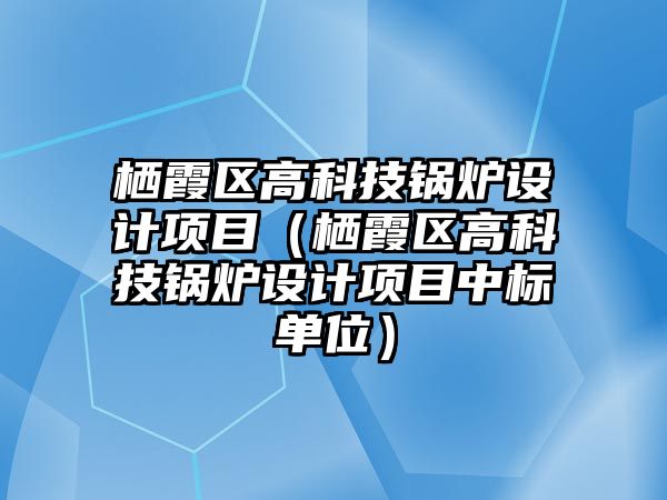 棲霞區高科技鍋爐設計項目（棲霞區高科技鍋爐設計項目中標單位）